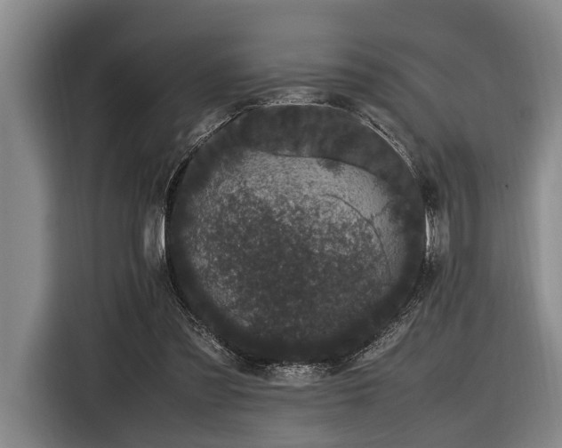 X0000116600301200912111119
