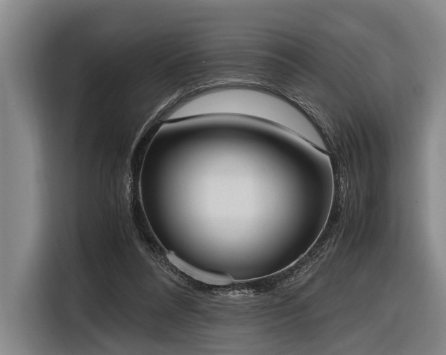X0000116600304200912111119