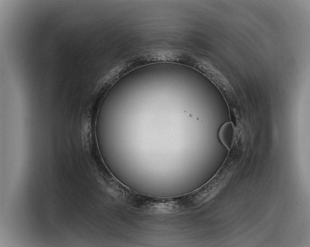 X0000116600306200912111119
