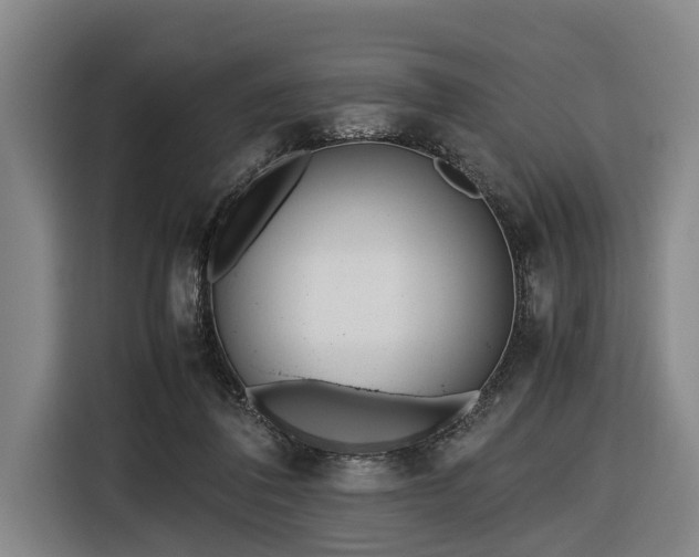X0000116600308200912111119