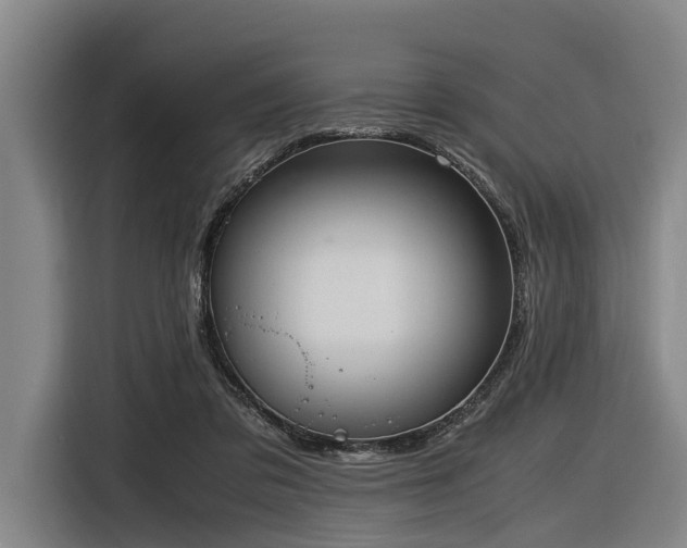 X0000116600309200912111119