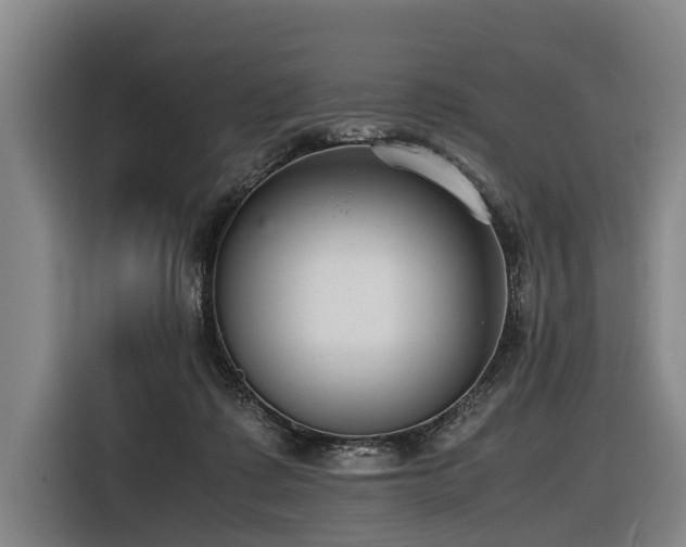 X0000116600315200912111119