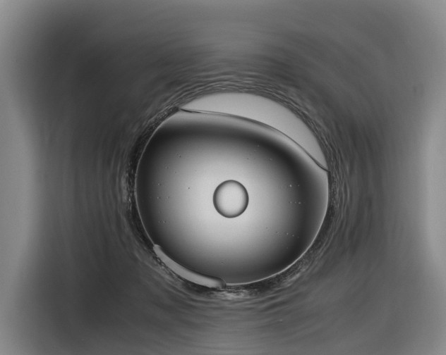 X0000116600317200912111119
