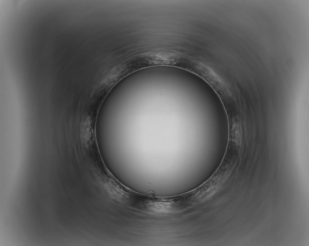 X0000116600318200912111119
