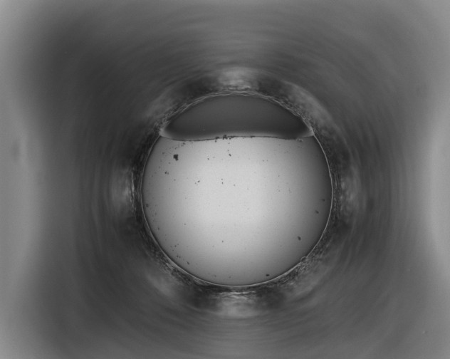 X0000116600320200912111119