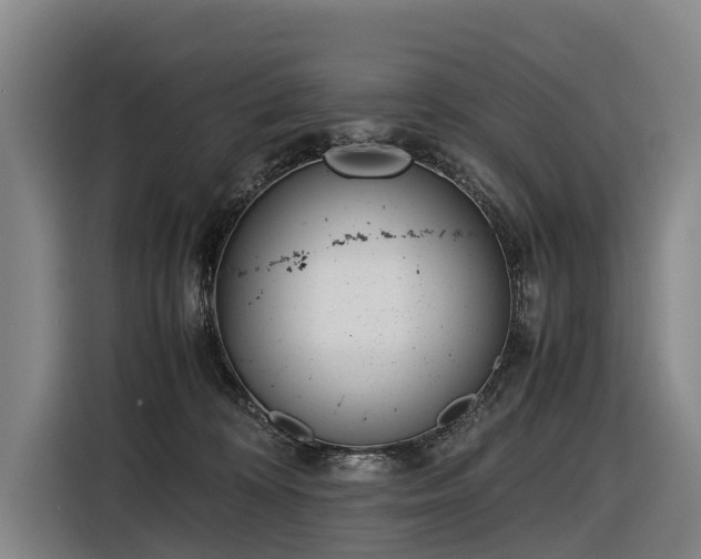 X0000116600324200912111119