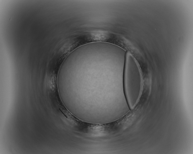 X0000116600325200912111119