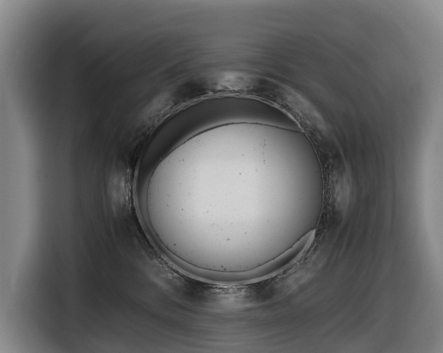 X0000116600328200912111119