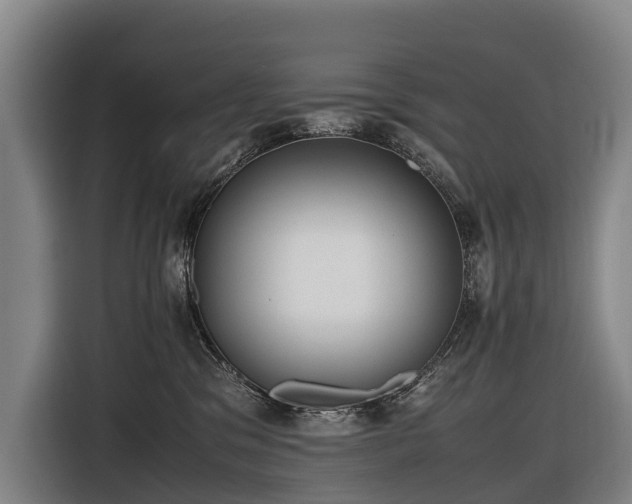 X0000116600329200912111119