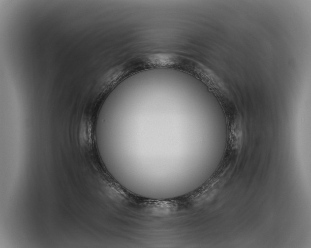 X0000116600330200912111119