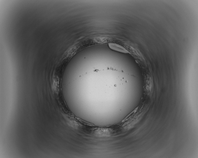 X0000116600332200912111119