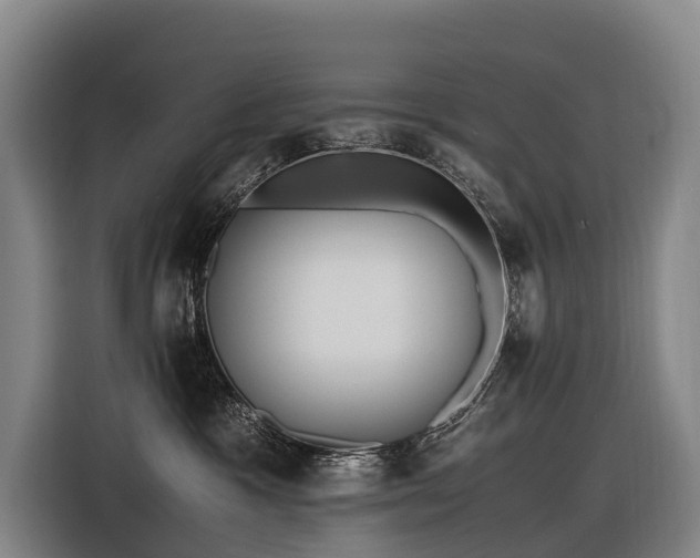 X0000116600333200912111119