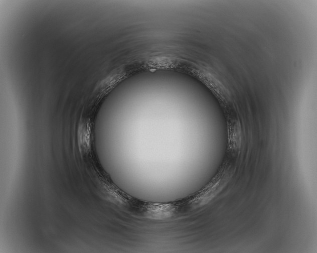 X0000116600334200912111119