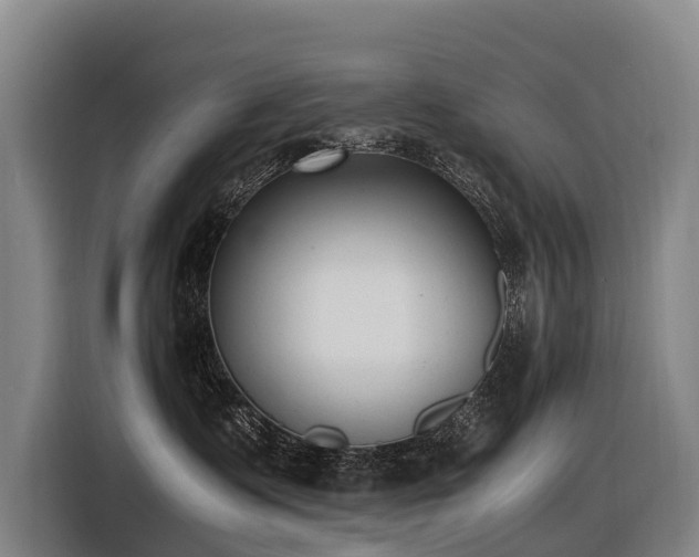 X0000116600335200912111119