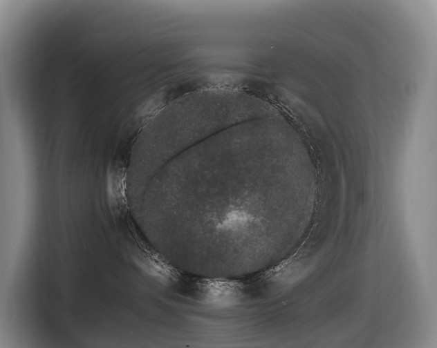 X0000116600336200912111119