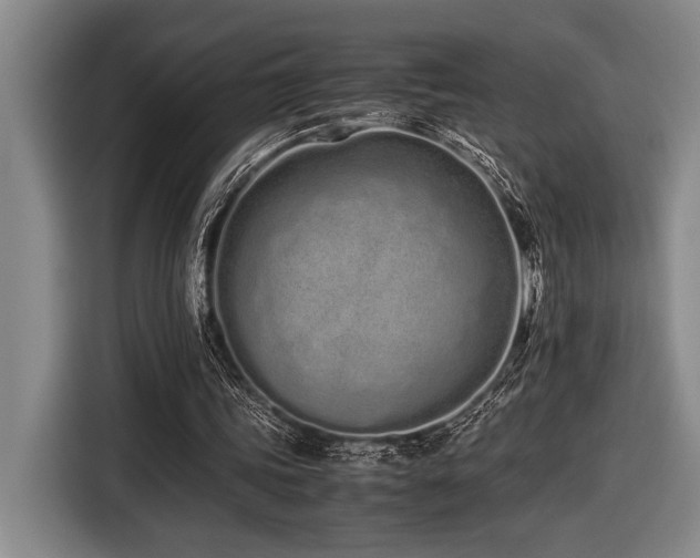 X0000116600339200912111118