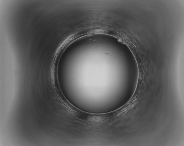 X0000116600341200912111118