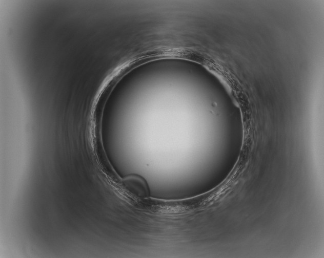 X0000116600342200912111118