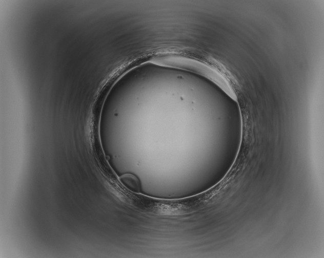 X0000116600346200912111118