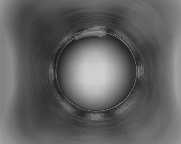 X0000116600349200912111118