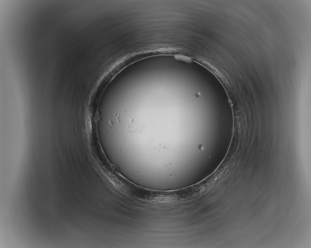 X0000116600350200912111118