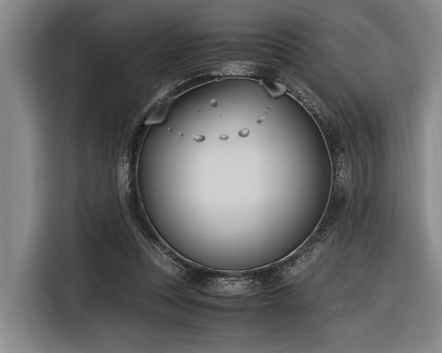 X0000116600351200912111118