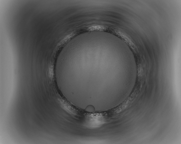 X0000116600353200912111118