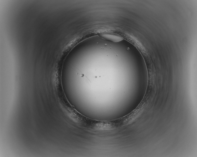X0000116600354200912111118