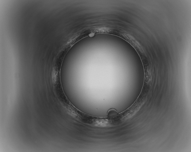 X0000116600355200912111118