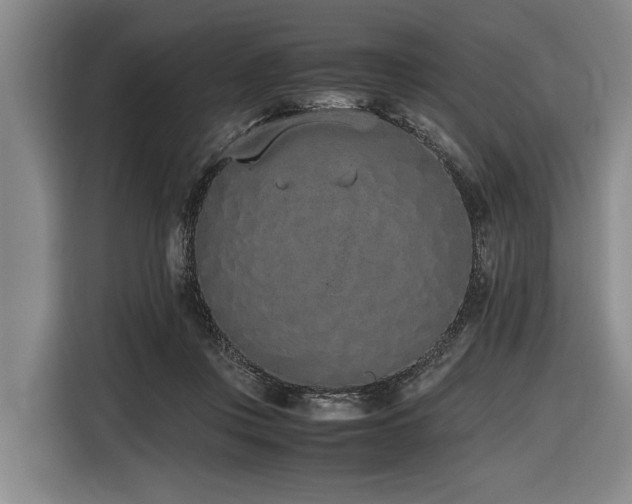 X0000116600359200912111118