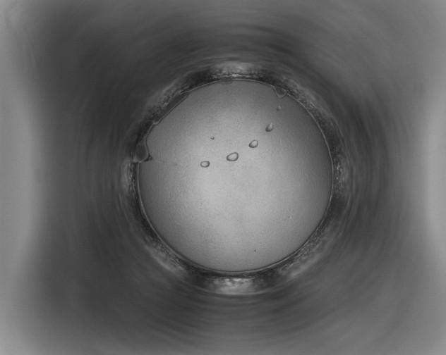X0000116600361200912111118