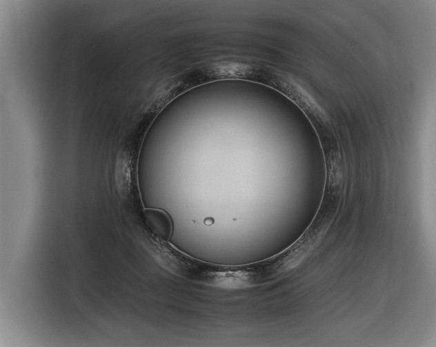X0000116600363200912111118
