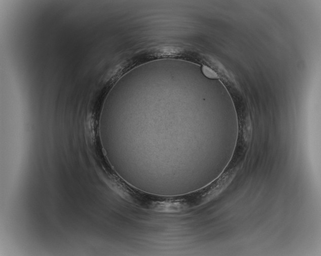 X0000116600366200912111118