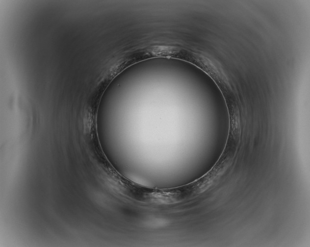 X0000116600367200912111118