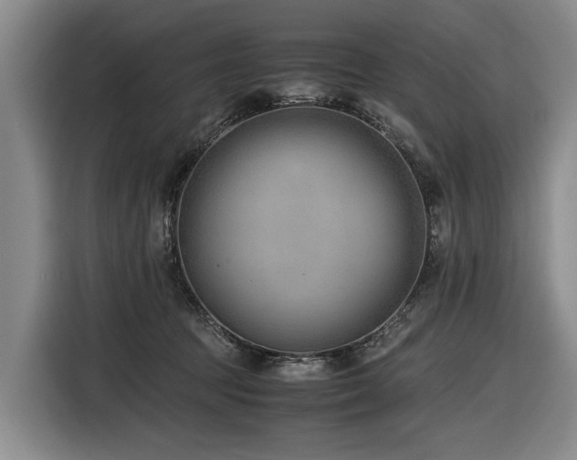 X0000116600369200912111118