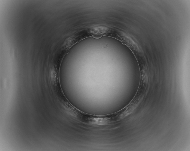 X0000116600371200912111119