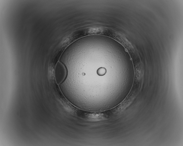 X0000116600375200912111119