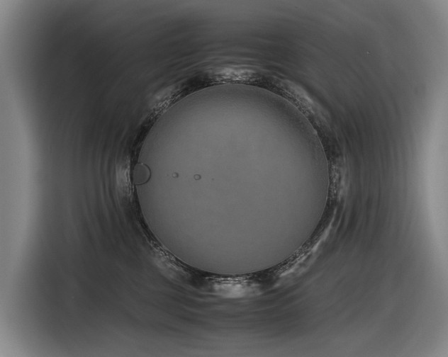 X0000116600377200912111119