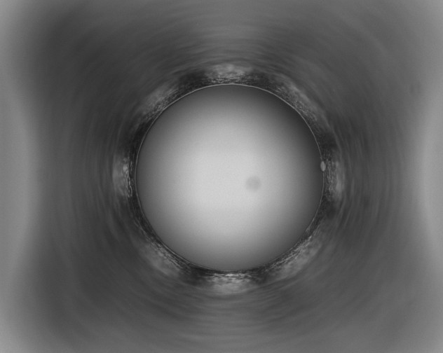 X0000116600378200912111119
