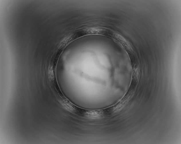 X0000116600381200912111119