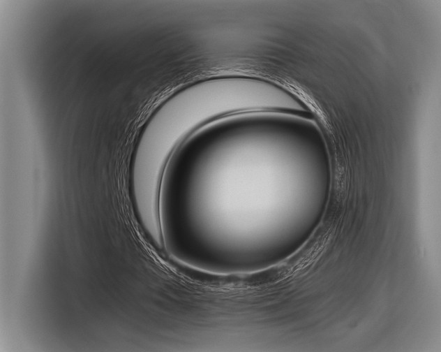 X0000116600385200912111118