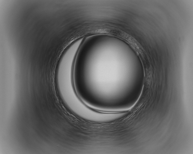 X0000116600386200912111118