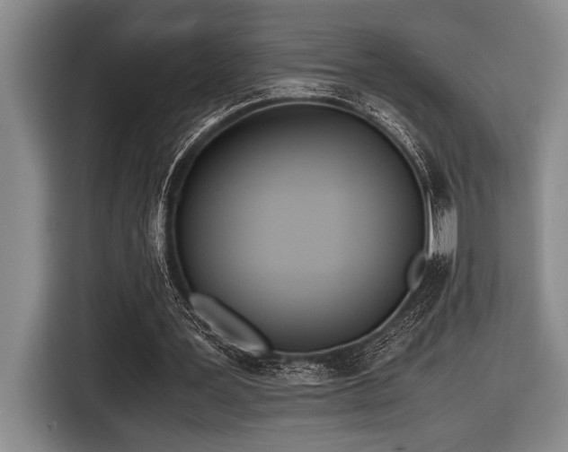 X0000116600387200912111118
