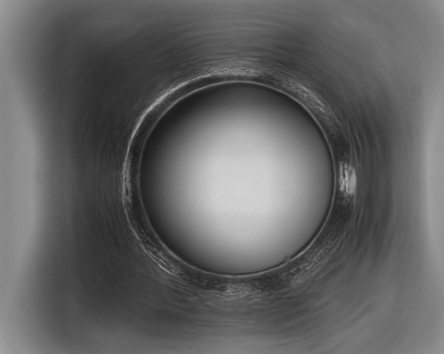 X0000116600388200912111118