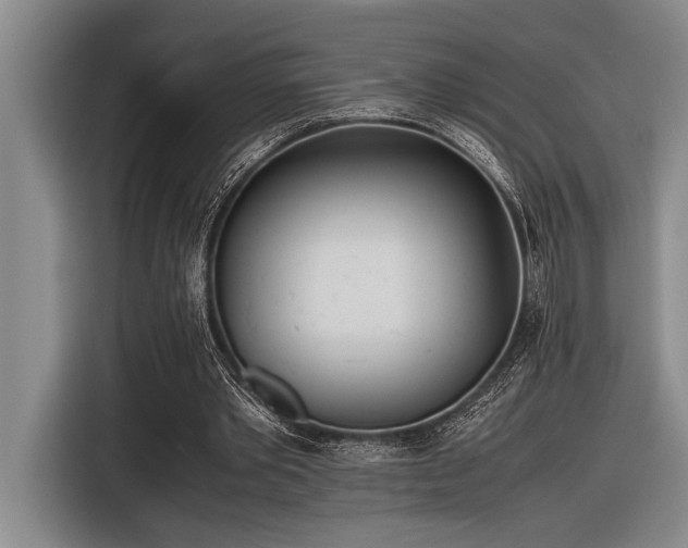 X0000116600389200912111118