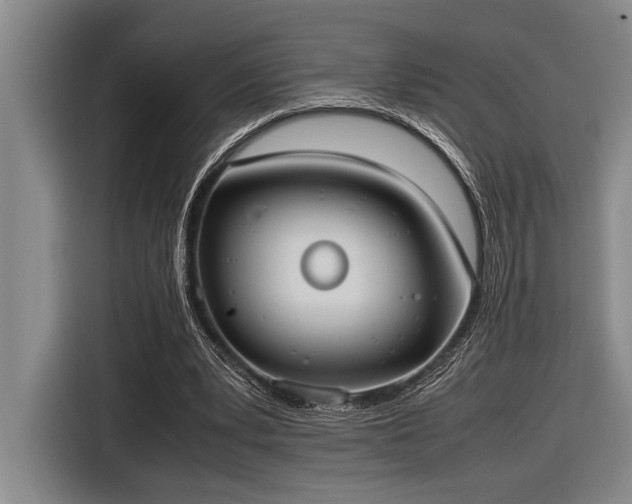 X0000116600391200912111118