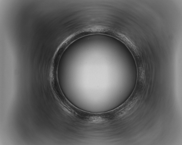 X0000116600392200912111118