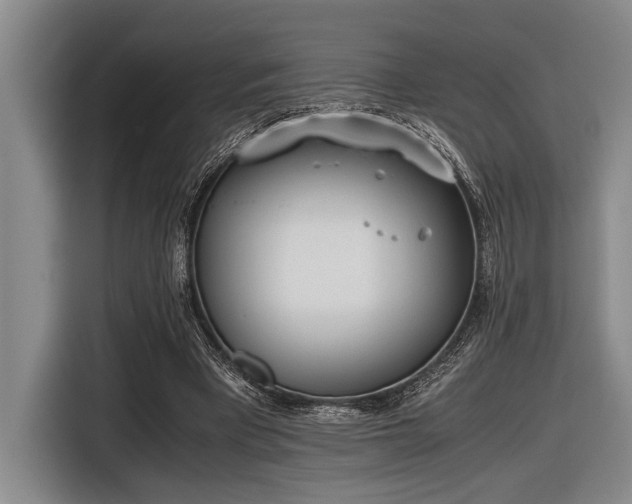 X0000116600393200912111118
