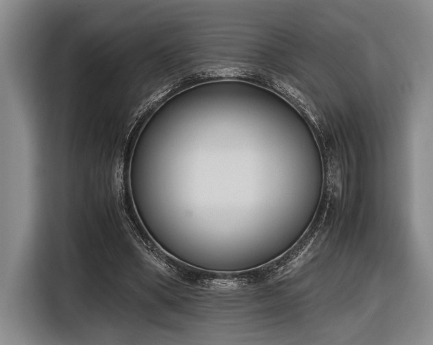 X0000116600394200912111118