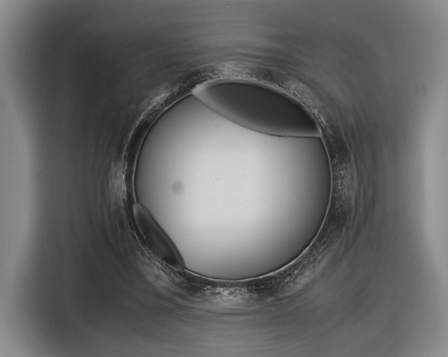 X0000116600395200912111118